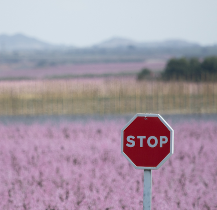 stop sign in field