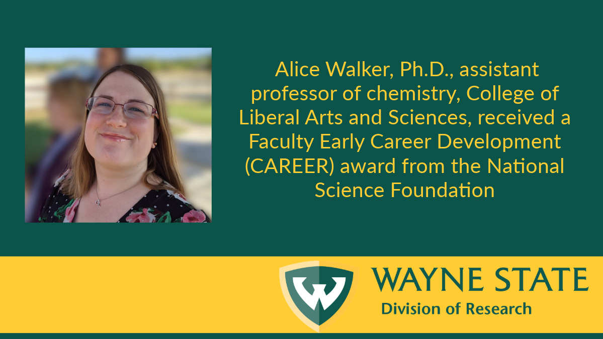 Alice Walker, assistant professor of chemistry, has received a NSF CAREER award to explore developing new fluorescent protein sensors.