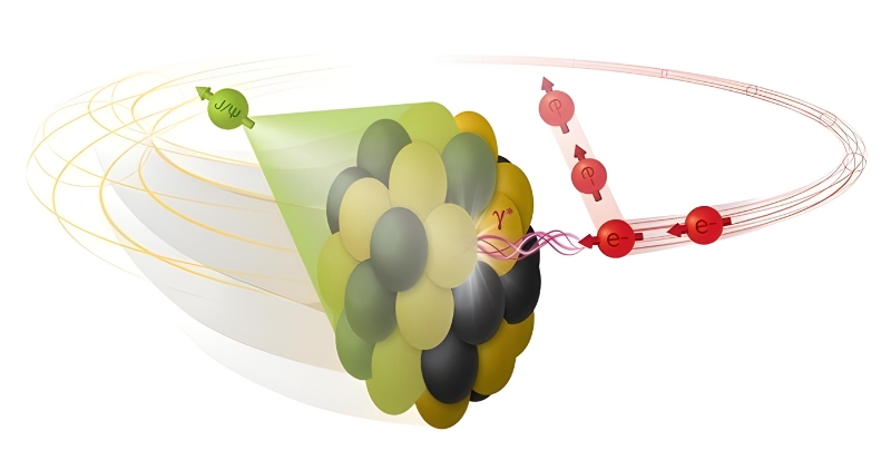 An electron collides with a deformed nucleus and produces a single vector meson (J/Psi)