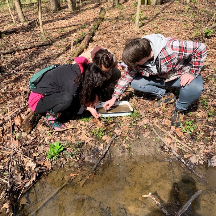 Students in the field collecting dirt samples