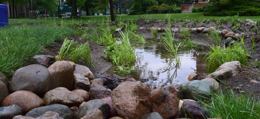 Bioswale filled with water on wayne state's campus