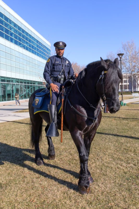 police officer on horse