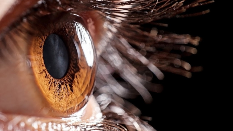 Exploring alternatives to fight serious corneal infections - Today ...