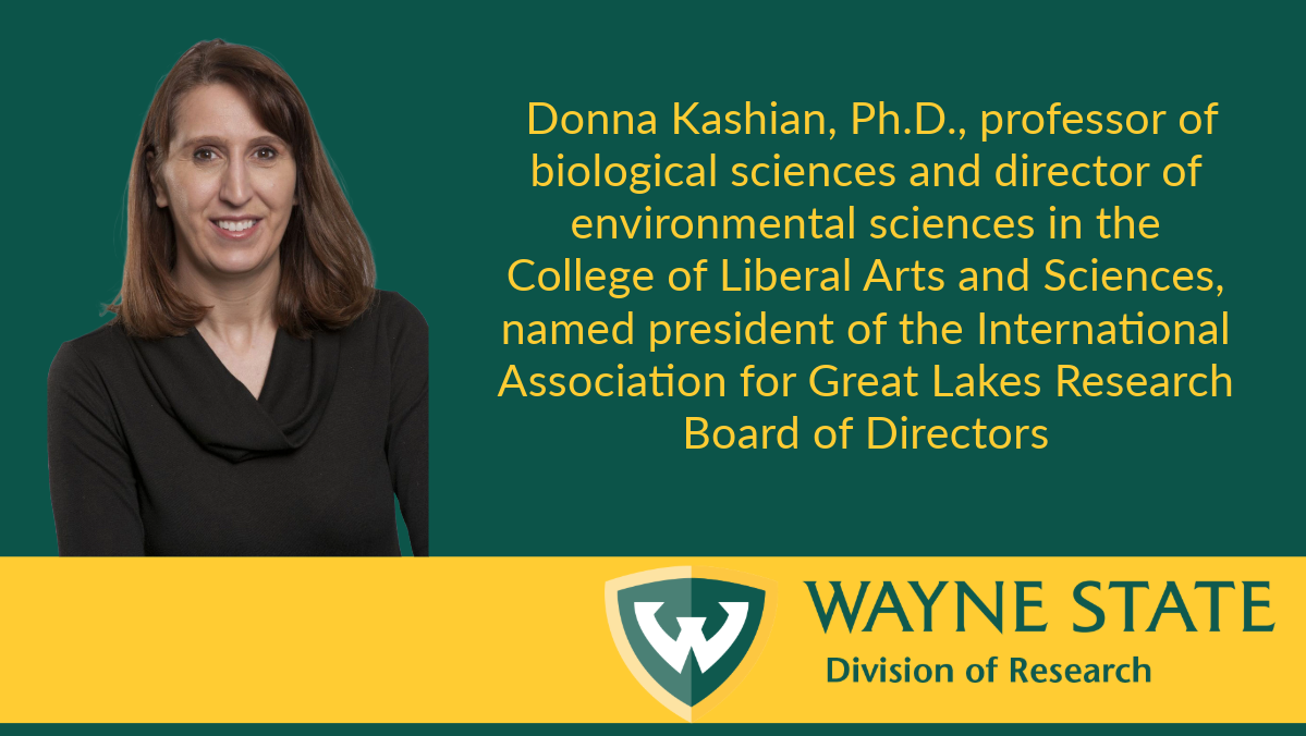 Donna Kashian, professor in the College of Liberal Arts and Sciences, was named president of the board of directors for the International Association for Great Lakes Research