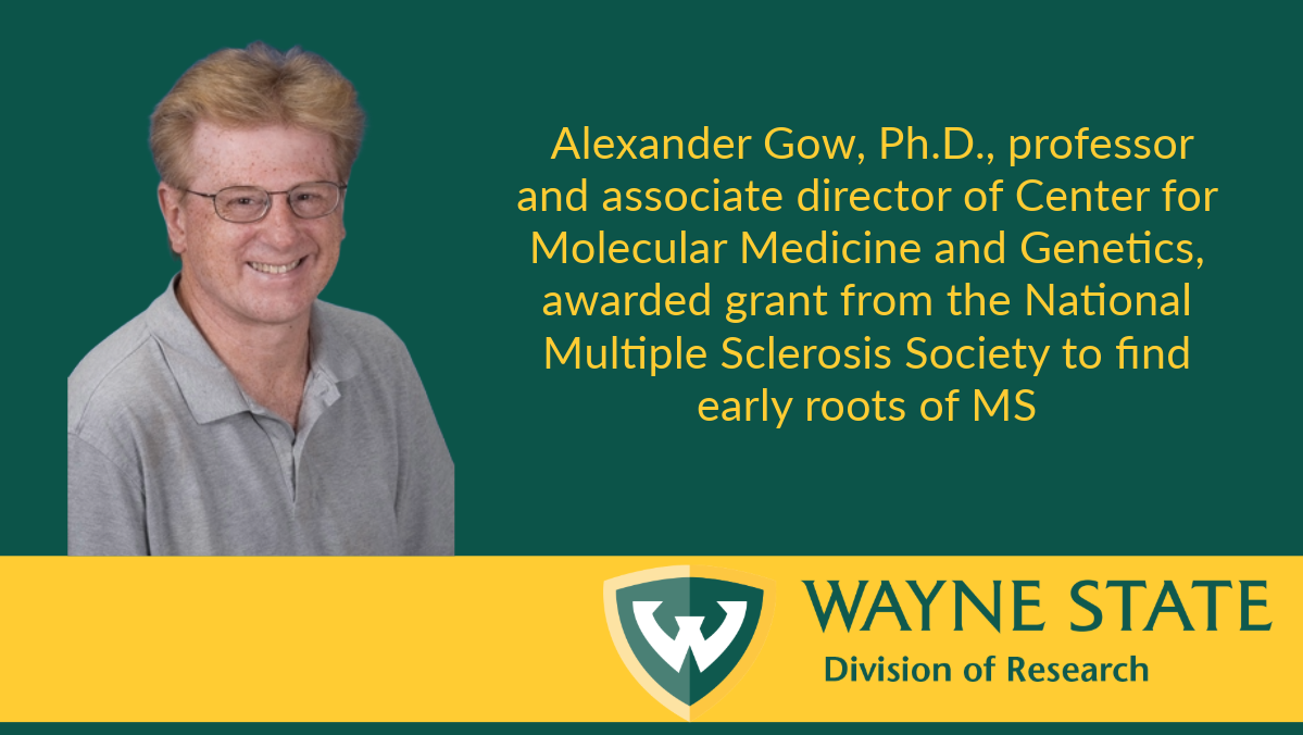 Alexander Gow, Ph.D., professor and associate director of Center for Molecular Medicine and Genetics, awarded grant from the National Multiple Sclerosis Society to find early roots of MS