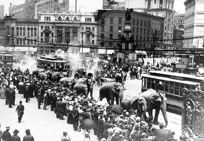 A bunch of people packed along the sides of the road watching a parade of elephants go by