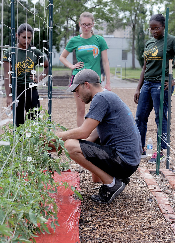 Students work in a community garden