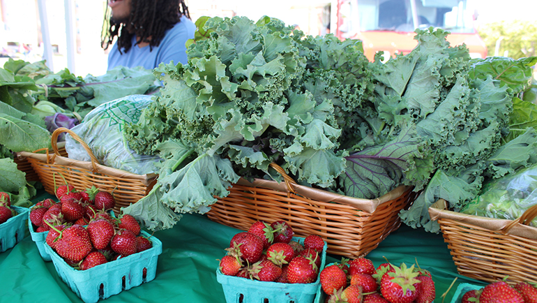 Farmers Market returns for first time in two years to supply domestically grown produce, healthy-living providers and actions – Right now@Wayne