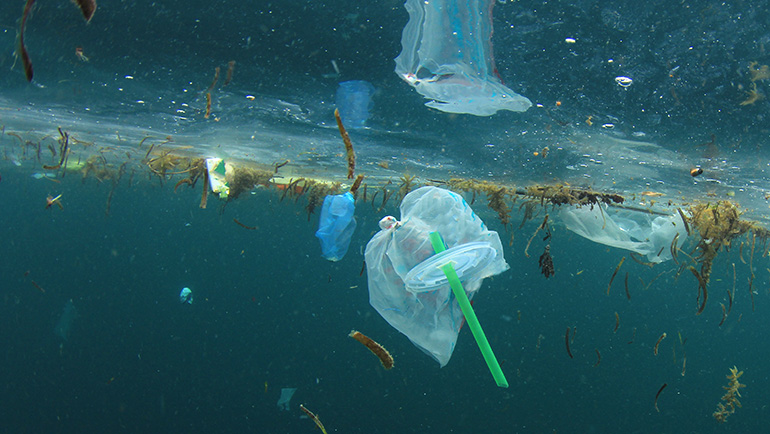 Do plastic straws really make a difference?