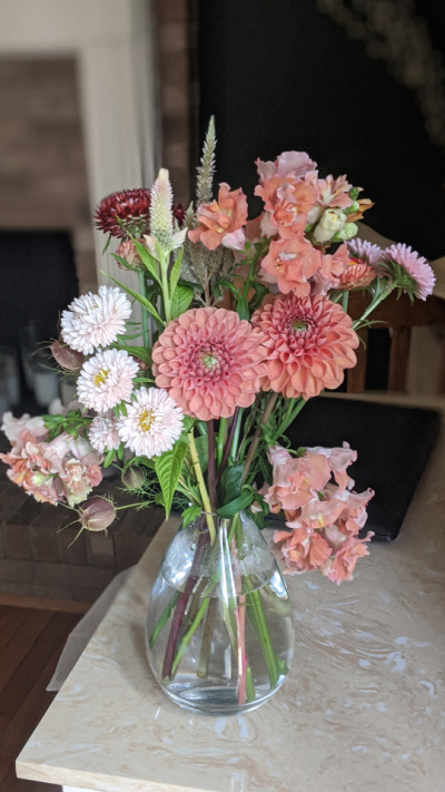 A vase of colorful flowers, in shades of pink and peach.
