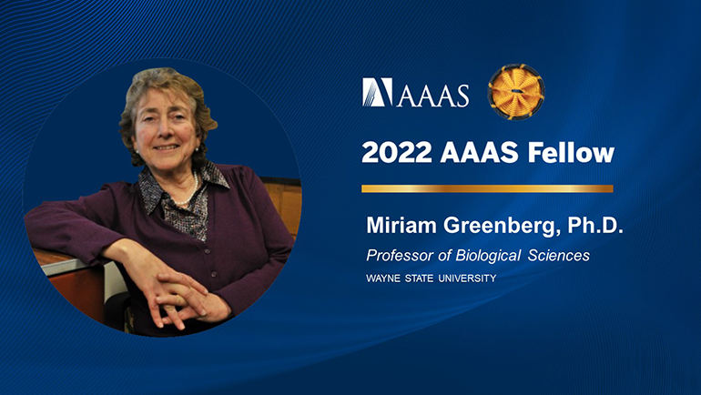 Dr. Miriam Greenberg, professor of Biological Sciences at Wayne State University, has been named an AAAS Fellow for her distinguished research contributions.