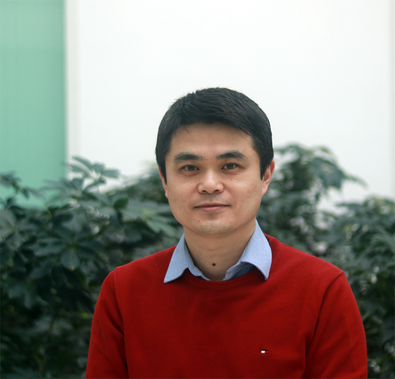 Hengguang Li, Professor and Chair