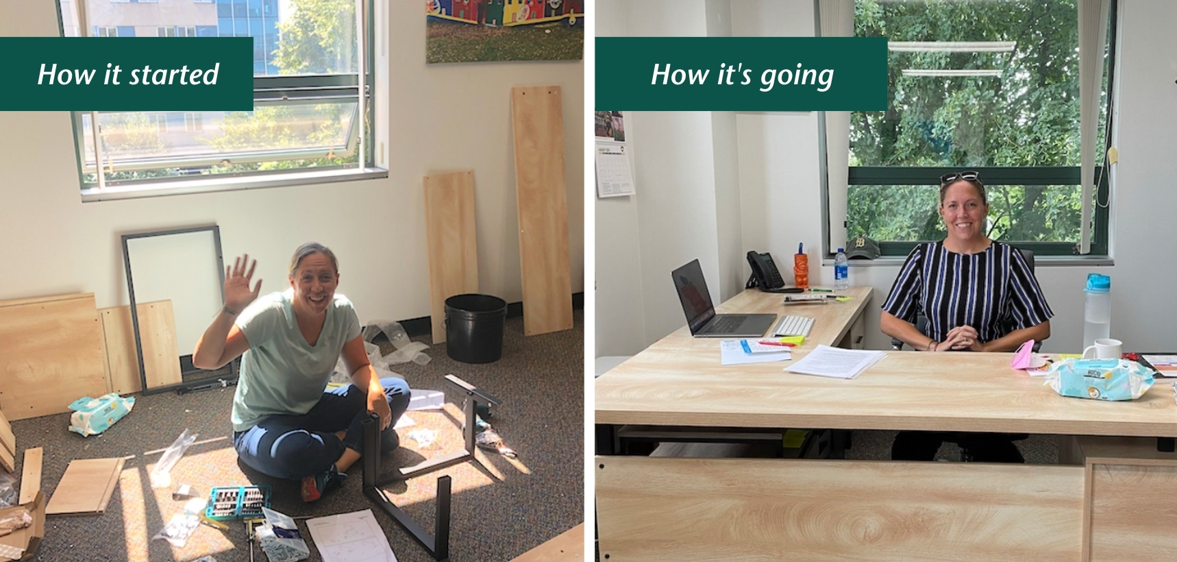 New chair, Dr. Krysta Ryzewski, readies her new office for the fall semester.
