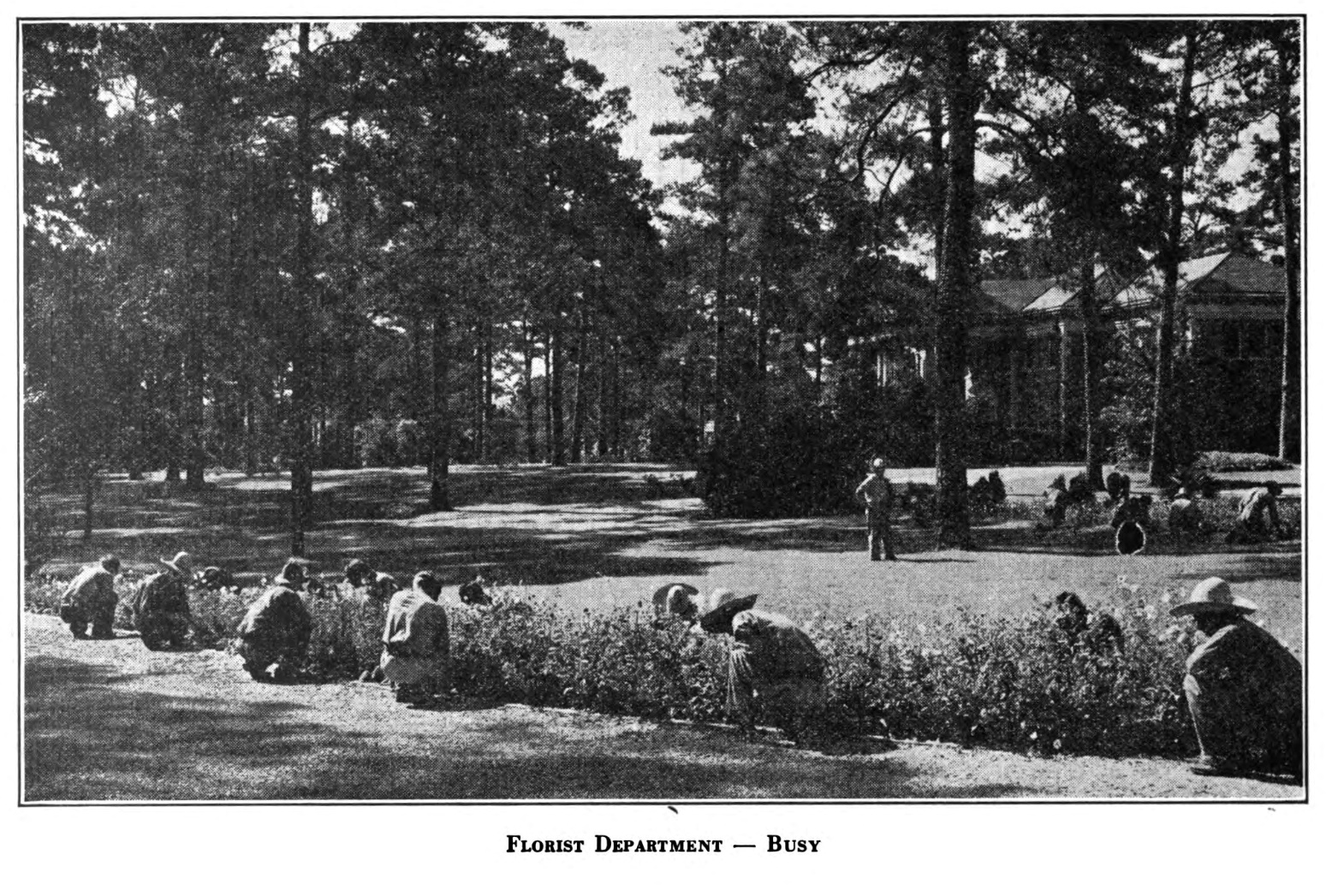 Louisiana Central State Hospital florist department workers outdoors