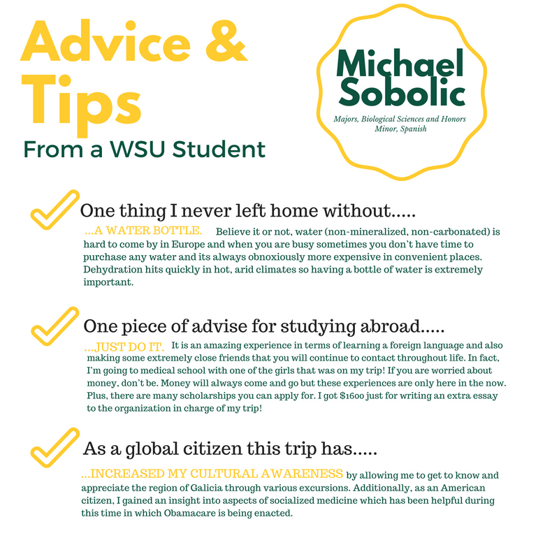 Graphic version of text of Advice and Tips from a WSU student