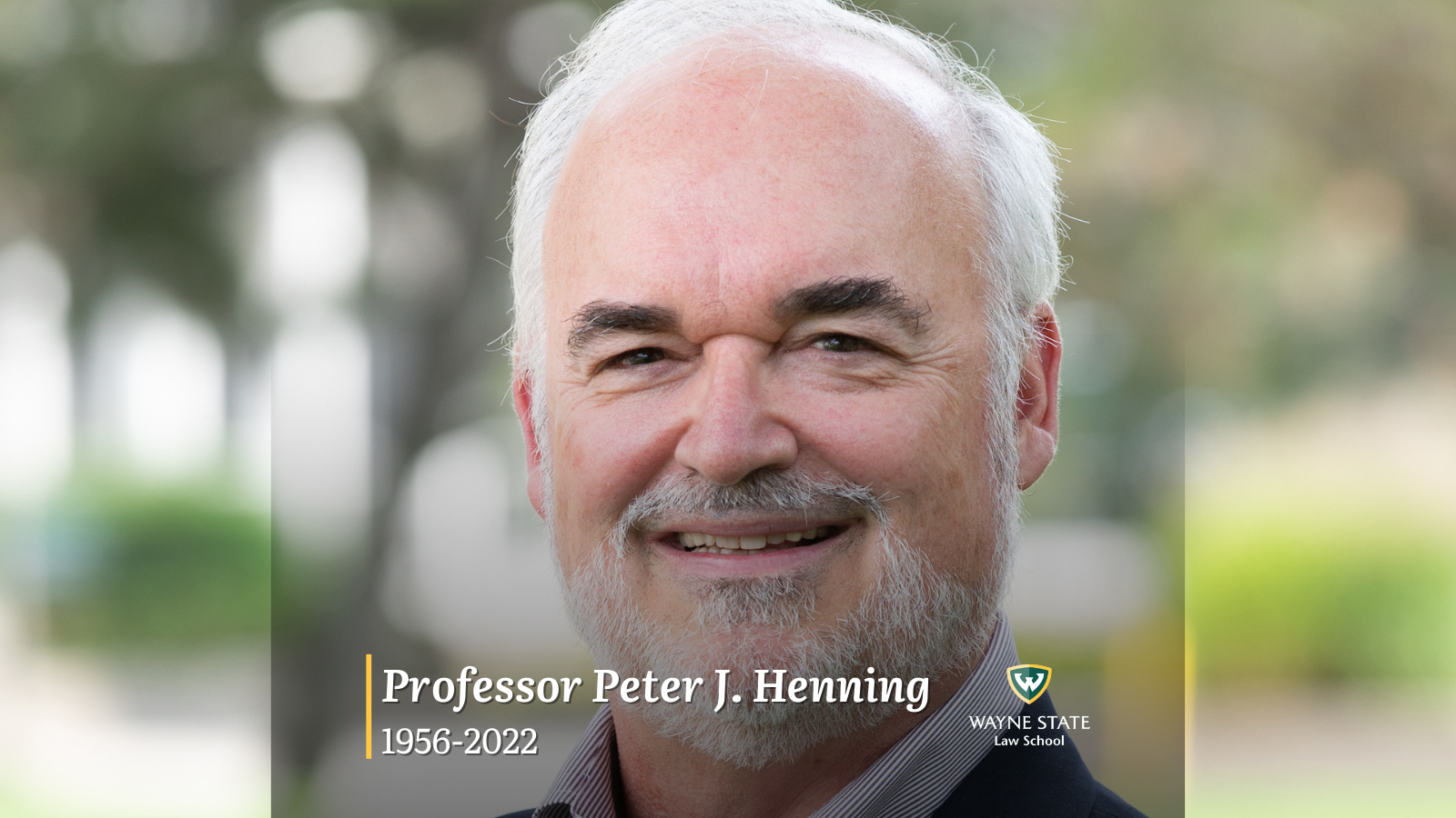 Professor Peter J. Henning
