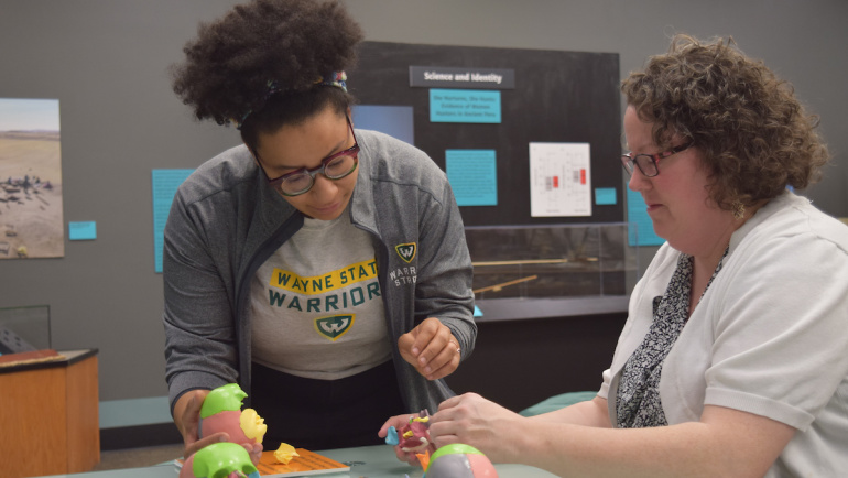 Wayne State faculty explore models as part of research.