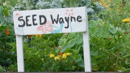 SEED Wayne sign