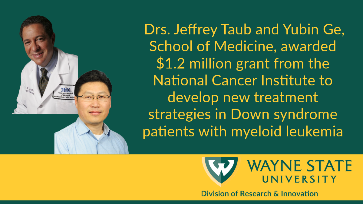 mDrs. Jeffrey Taub and Yubin Ge from Wayne State's School of Medicine, have received a $1.2 million grant from the National Cancer Institute to help identify new treatments to prevent or delay myeloid leukemia relapse in Down syndrome patients.