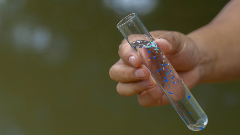 Dr. Yongli Wager, associate professor of civil and environmental engineering at Wayne State University, is leading a collaborative study to create a Great Lakes-focused microplastic action network to aid in microplastic pollution mitigation.